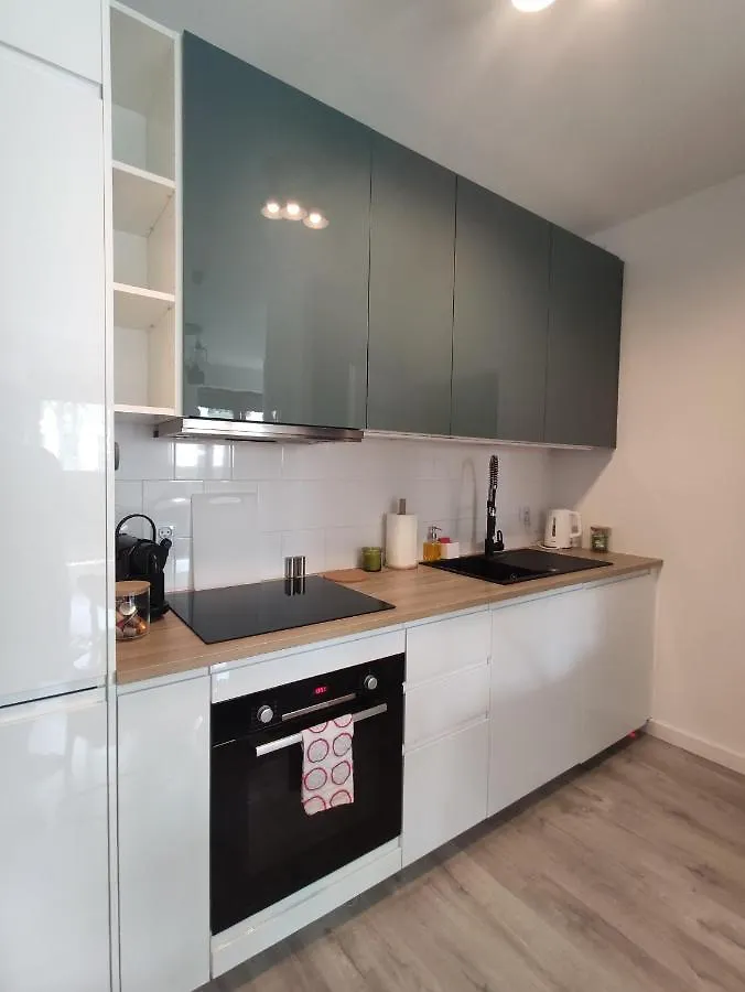 Nowoczesny Apartament Dla Par 克拉科夫 公寓